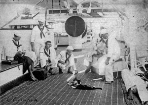 OLYMPIA- Cats_98_Crop