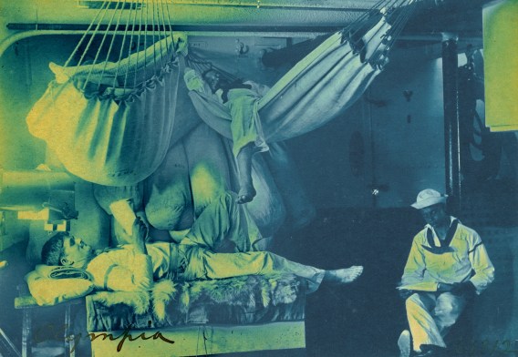 OLYMPIA- Hammocks_98_Crop